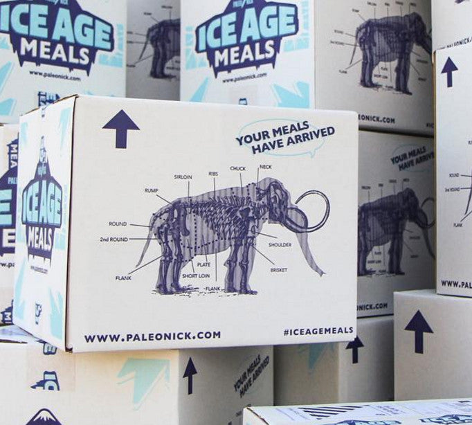 Fast Facts What’s in an Ice Age Meal? Ice Age Meals