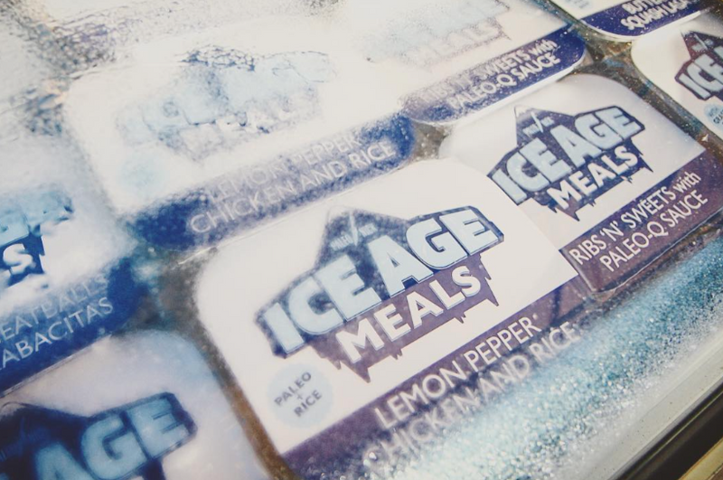 ice-age-meals-new-years-resolutions-2017
