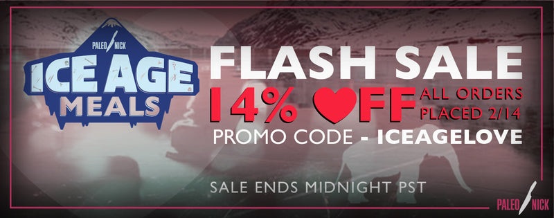 ice-age-meals-flash-sale-feb-14