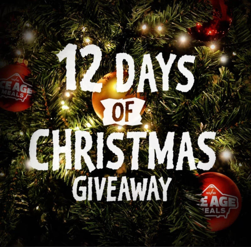 12 DAYS OF CHRISTMAS GIVEAWAY!!!