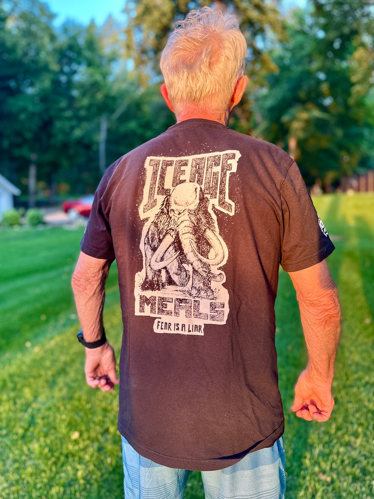 IAM Fear Is A Liar T-Shirt